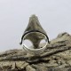 plain 925 sterling silver ring